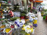 Kowloon Marche aux fleurs 214